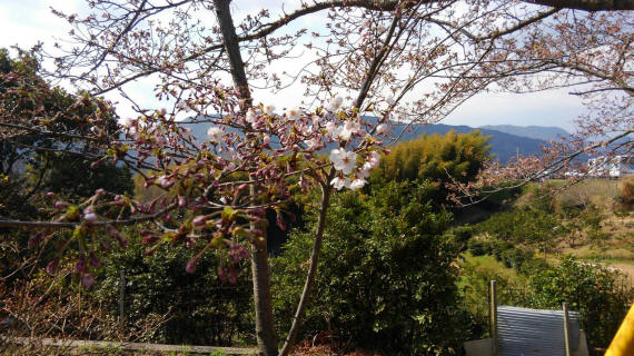 日帰り家族旅行04