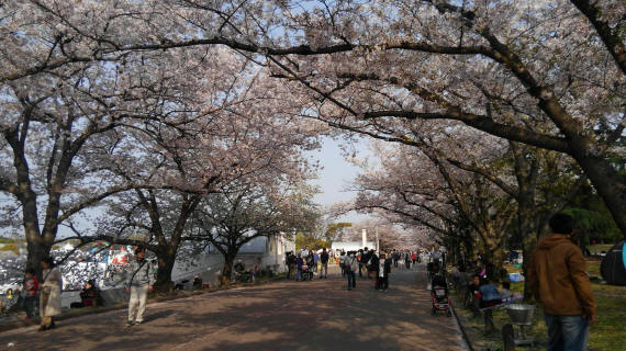 日帰り家族旅行05